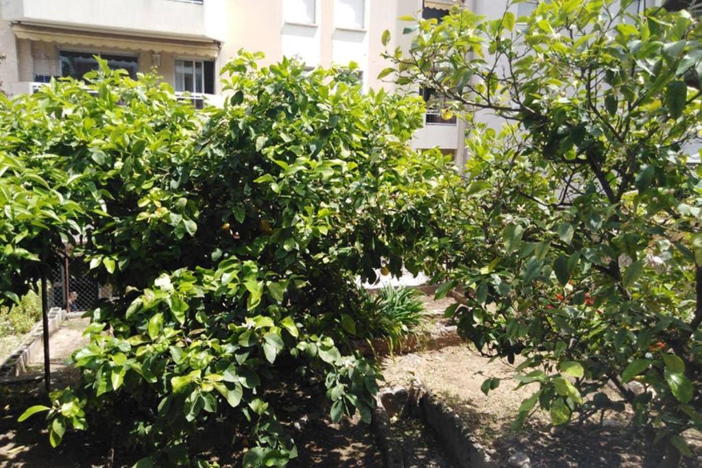 Moneghetti Apartamento Beausoleil Exterior foto